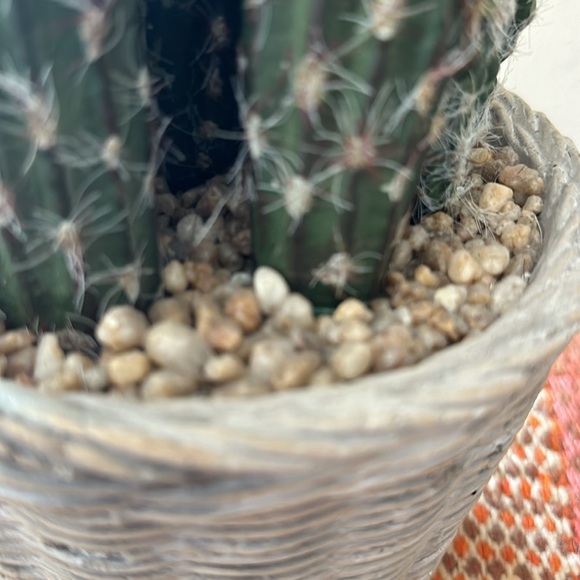 Faux Potted Cactus Arrangement - Picture 6 of 14